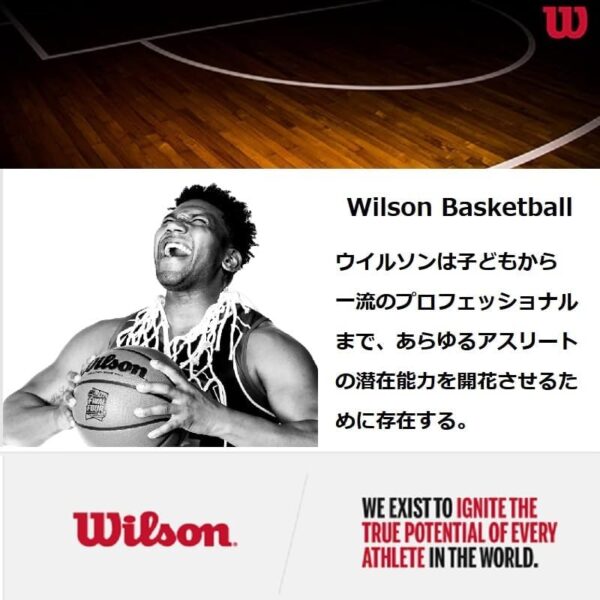 WILSON NBA Authentic Series Indoor/Outdoor Basketballs - Image 8